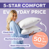 Waterproof & Stain-Resistant Hotel Pillow (2-Pack)